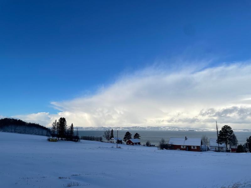 Snowy winter view in Norway