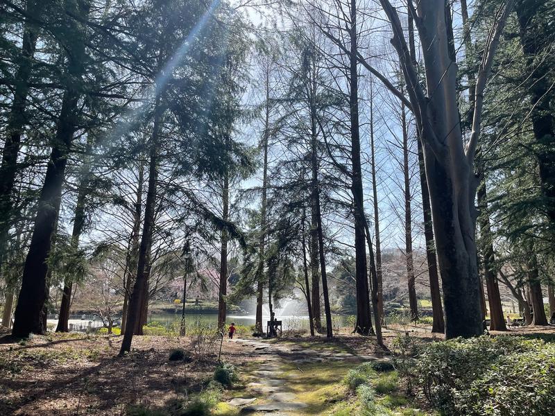 Beautiful shot in a park in Utsunomiya