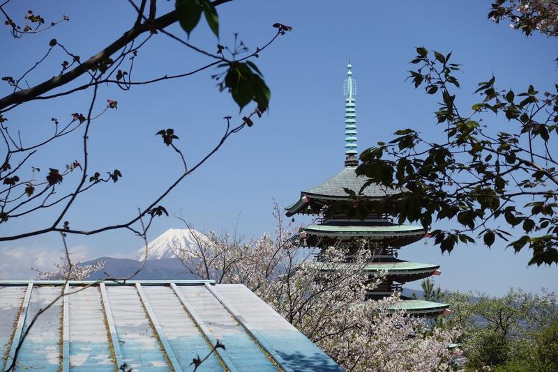 Mt. Fuji near Numazu, with temple in foreground