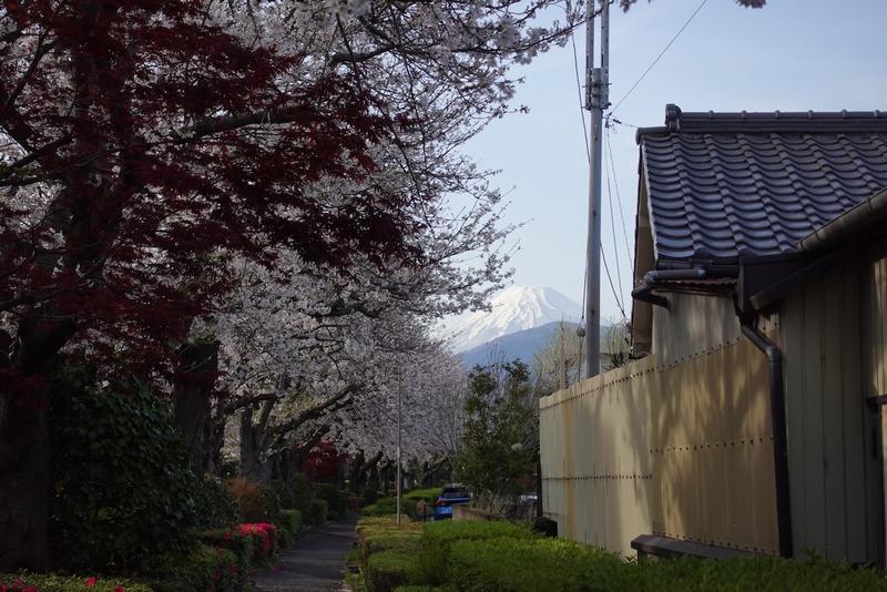 Mt. Fuji seen from a street in Numazu