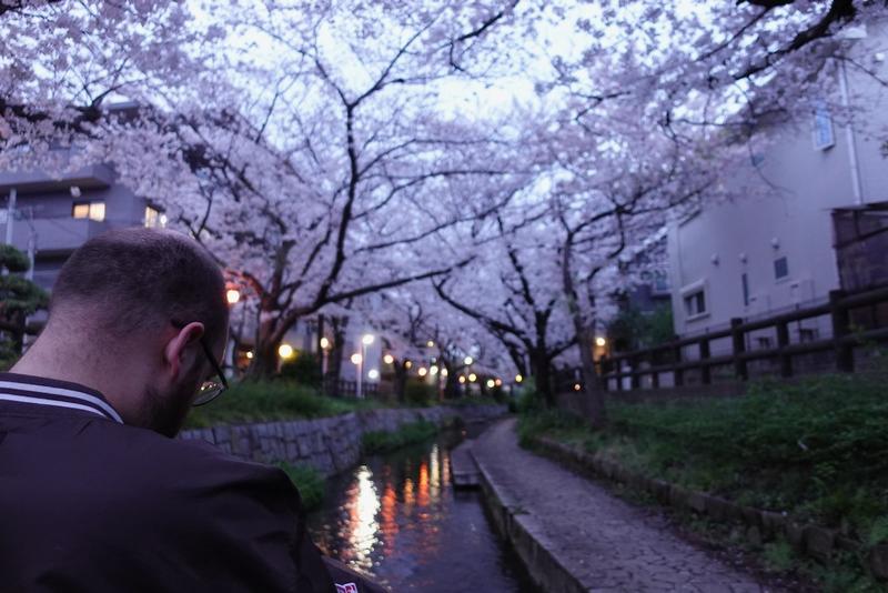 Igor with cherry blossoms in the background