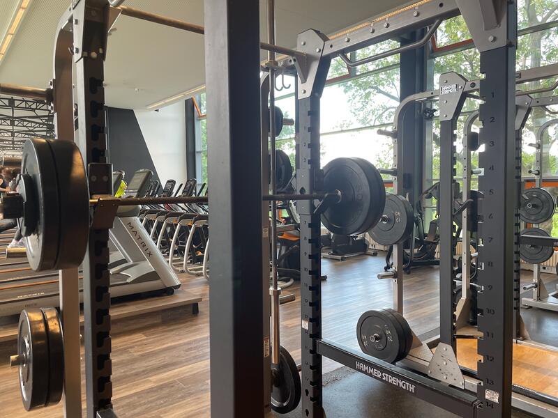 Squat rack at the gym