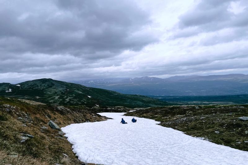 Summer sledding on snow in Norway