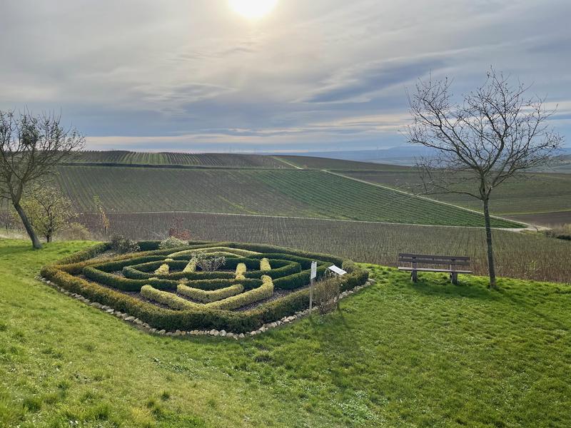 A little Japanese-like garden with fields in the background