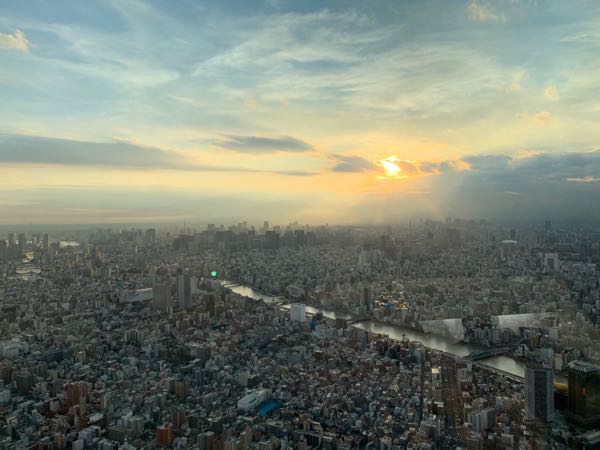 Tokyo from above